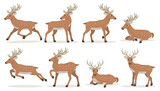 Fototapeta Pokój dzieciecy - Set of cute cartoon deer with long horns, forest animals, vector illustration isolated on white background