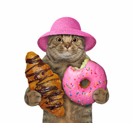 A beige big eyed cat in a straw hat holds a chocolate croissant and a pink donut. White background. Isolated.
