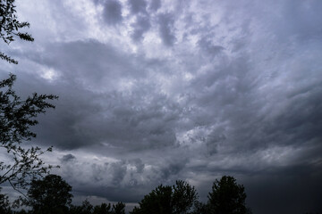Wall Mural - scary thunderclouds and black trees. night storm and dark cloud. dark heaven background