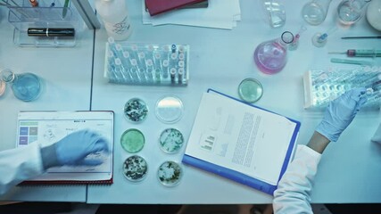 Wall Mural - Above the Head Camera Footage of Medical Research Scientists in Blue Rubber Gloves Working Behind Tables in a Modern Laboratory. Doctors Using Test Tubes, Compare Samples, Use Tablet and Microscope.