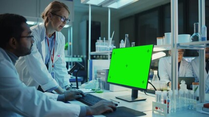Wall Mural - female research scientist has a conversation with bioengineer next to a desktop computer with green 