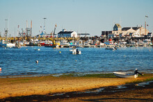 A Low Tide At A Marina In Provincetown, Cape Cod, Massachusetts