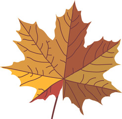 Wall Mural - Maple leaf yellow