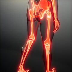 Transparent Human Body with Visible Bones