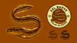 set of eel  badge illustration