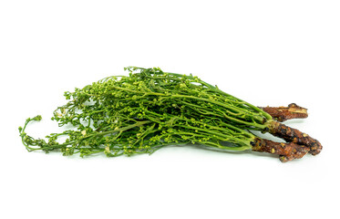 Isolated Siamese neem tree or Sa Dao in the Thai language, image on white background. Neem tree or Azadirachta indica in science name. Bunch of organic Sa Dao