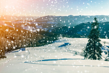 Wall Mural - Winter Christmas landscape at dawn. Human footprint track path in crystal white deep snow through empty field, woody dark mountain range, large snowflakes on clear blue sky copy space background.