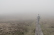 Wicklow way during bad weather, mist and cold. Hiker on wooden path. Mystic atmosphere