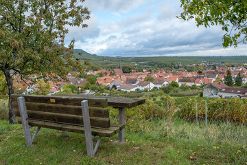 Wall Mural - In den Weinbergen oberhalb von Birkweiler, Südpfalz