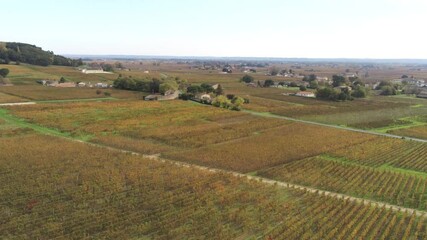 Wall Mural - Vignoble de Saint-Émilion en Gironde, vue aérienne