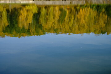 Canvas Print - reflections in the water