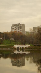 Wall Mural - landscape in the park