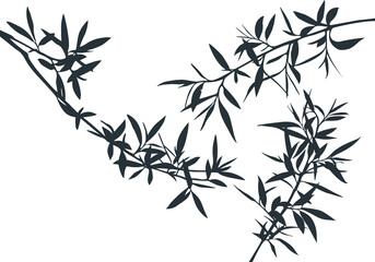 Leinwandbilder - Set of Olive Tree Branches Shapes. Vector Silhouette of Bamboo Rainforest
