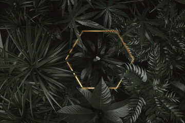 Wall Mural - 3d rendering of hexagon golden shape over tropical plants. Flat lay of precious nature style concept