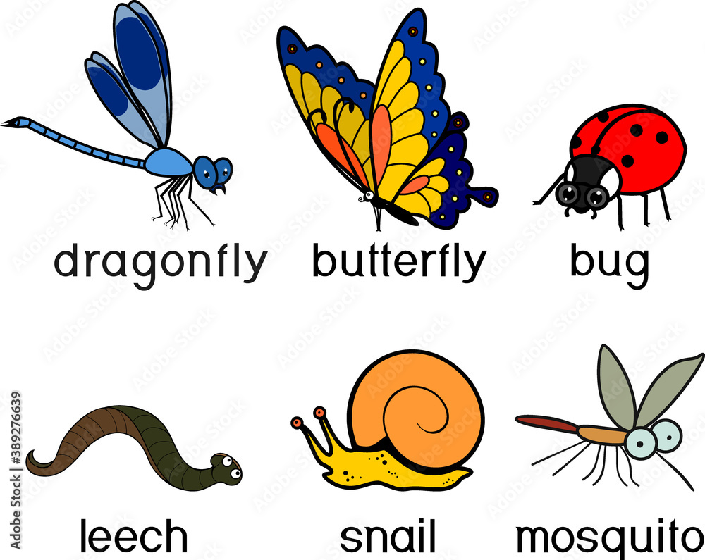 Set of cartoon invertebrate animals (dragonfly, leech, snail, mosquito ...