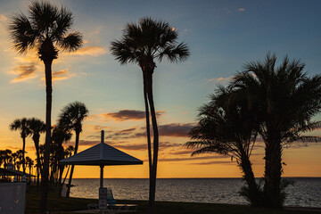 Sunset Palm view over the water