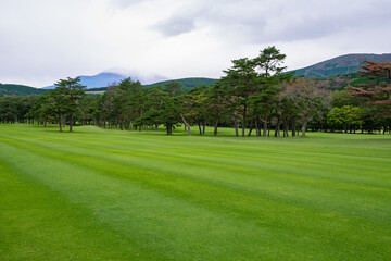 Wall Mural - Golf Course with beautiful green field. Golf course with a rich green turf beautiful scenery.