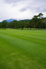 Wall Mural - Golf Course with beautiful green field. Golf course with a rich green turf beautiful scenery.