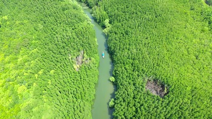 Wall Mural - Aerial view of boats sailing in rivers along tropical mangrove forests