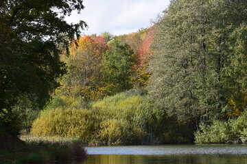 Canvas Print - ruhiges Holzmaar in der Eifel während des Herbst