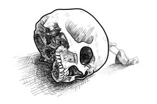 Drawing Of A Man Looking Inside A Human Skull .