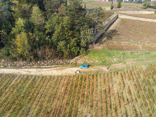 Sticker - 2 CV dans une vigne à Saint Emilion en Gironde, vue aérienne