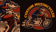 A colorful vintage biker emblem of a wolf on a motorcycle, this design can be used as a shirt print or in many other uses.