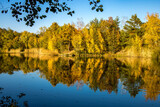 Fototapeta Łazienka - A beautiful little lake called Schnepfensee in Germany at a sunny day in Autumn with a colorful forest reflecting in the water.