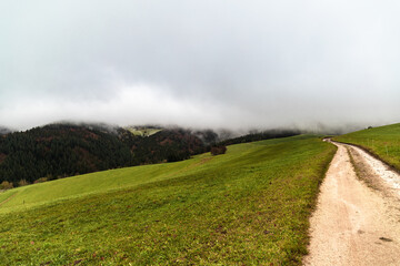 Beautiful Schwartzwald - rural gravel road through a green farm fields. Cloudy autumn morning