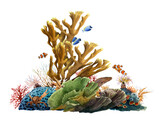 Fototapeta Do akwarium - Sea corals group with a crab and bright tropical fishes hand drawn in watercolor isolated on a white background. Watercolor illustration. 