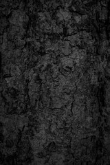 Wall Mural - 
Black old bark background There are cracks, the texture of the old bark makes the natural beauty of the old trees with beautiful bark in the summer.