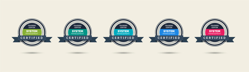 Wall Mural - set of company training badge certificates to determine based on criteria. standard verified modern 