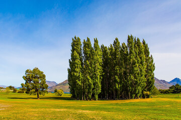 Canvas Print - The surroundings of the city - resort Queenstown