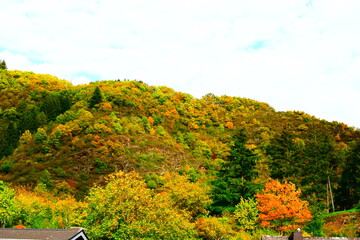 Sticker - Herbstliches Moseltal