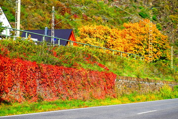 Sticker - herbstliches Moselufer Klotten