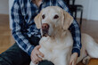 Lifestyle Portrait von jungem Mann mit seinem Labrador Retriever beim Kuscheln im Wohnzimmer