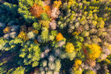 Luftaufnahme: Bayrischer Wald im Herbst