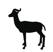 Dama Gazelle Vector Silhouette Illustration Isolated On White Background. Addra Gazelle, Or Mhorr Gazelle Symbol. African Safari Animal.
