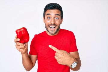 Canvas Print - Young hispanic man holding red pepper smiling happy pointing with hand and finger