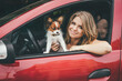 Close-up of a young girl and a white red dog in the car. The dog rests its paws on the door and the girl hugs at dog and smiles looking to the camera. Traveling by car with a dog
