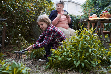 Little boy using a rake