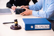 © Elnur - Young couple divorcing in alimony concept