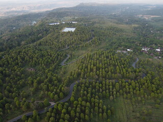 The beauty of the expanse of the clove plantation area in the village of Patean Boja, Kendal Regency, Indonesia