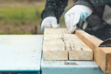 Wall Mural - Daylight. machine for sawing wood. The master hands the board. Close-up.