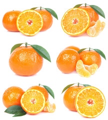 Wall Mural - Mandarin fruit on white background