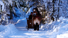 Zimowy Mroźny Pejzaż Górski Z Oszronionymi Drzewami
Woźnica, Koń, Sanie, W Czasie Zimowej Przejażdżki W Zimowym Słonecznym Dniu