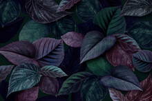 Metallic Green And Purple Leaves Textured Background