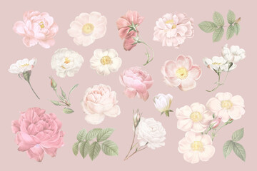 Poster - Blooming elegant floral design collection