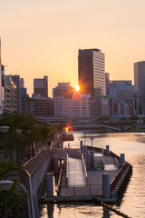 Canvas Print - 中之島に沈む夕陽と八軒家浜