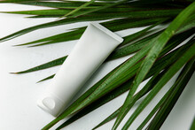Body Cream Tube And Wet Green Plant Leaves On White Background. Blank Cosmetic Container Mockup